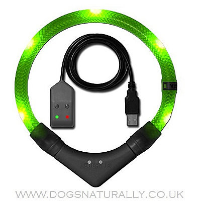 Leuchtie Premium Easy Charge Neon Green LED Dog Collar